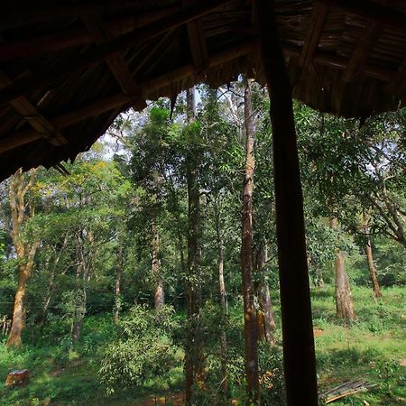 Tall Trees - Modern Forest Villa In Wayanad Sultan Bathery Exterior foto