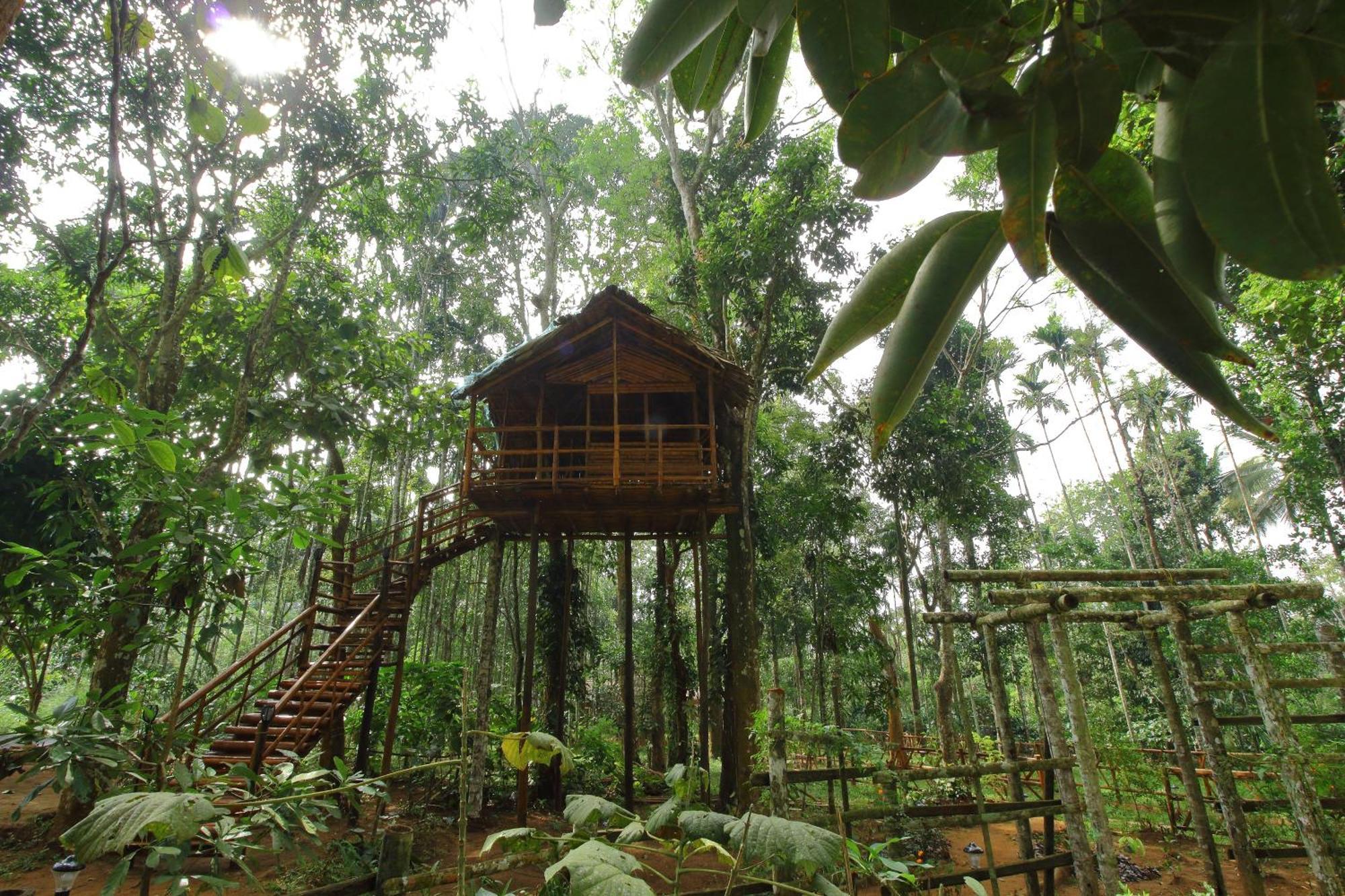 Tall Trees - Modern Forest Villa In Wayanad Sultan Bathery Exterior foto