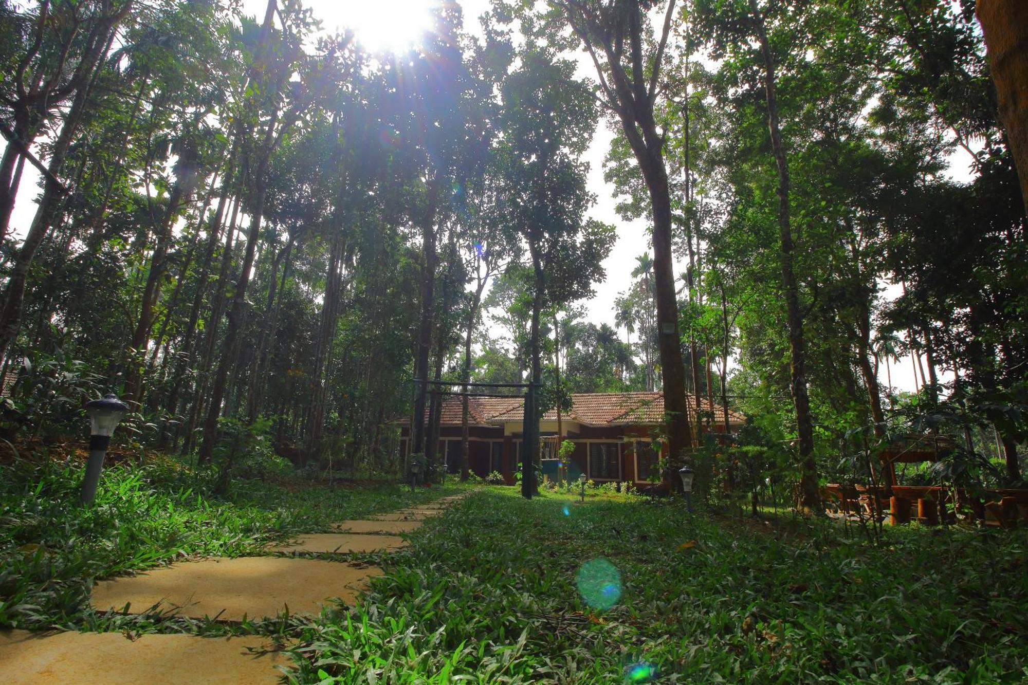 Tall Trees - Modern Forest Villa In Wayanad Sultan Bathery Exterior foto